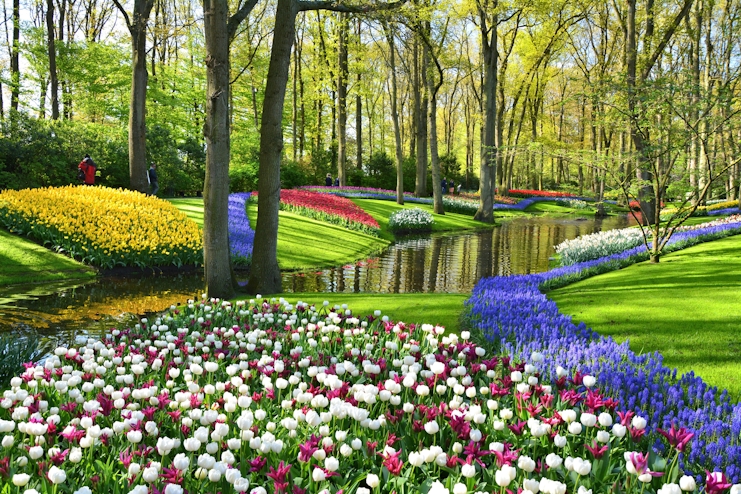 Flores en Keukenhof