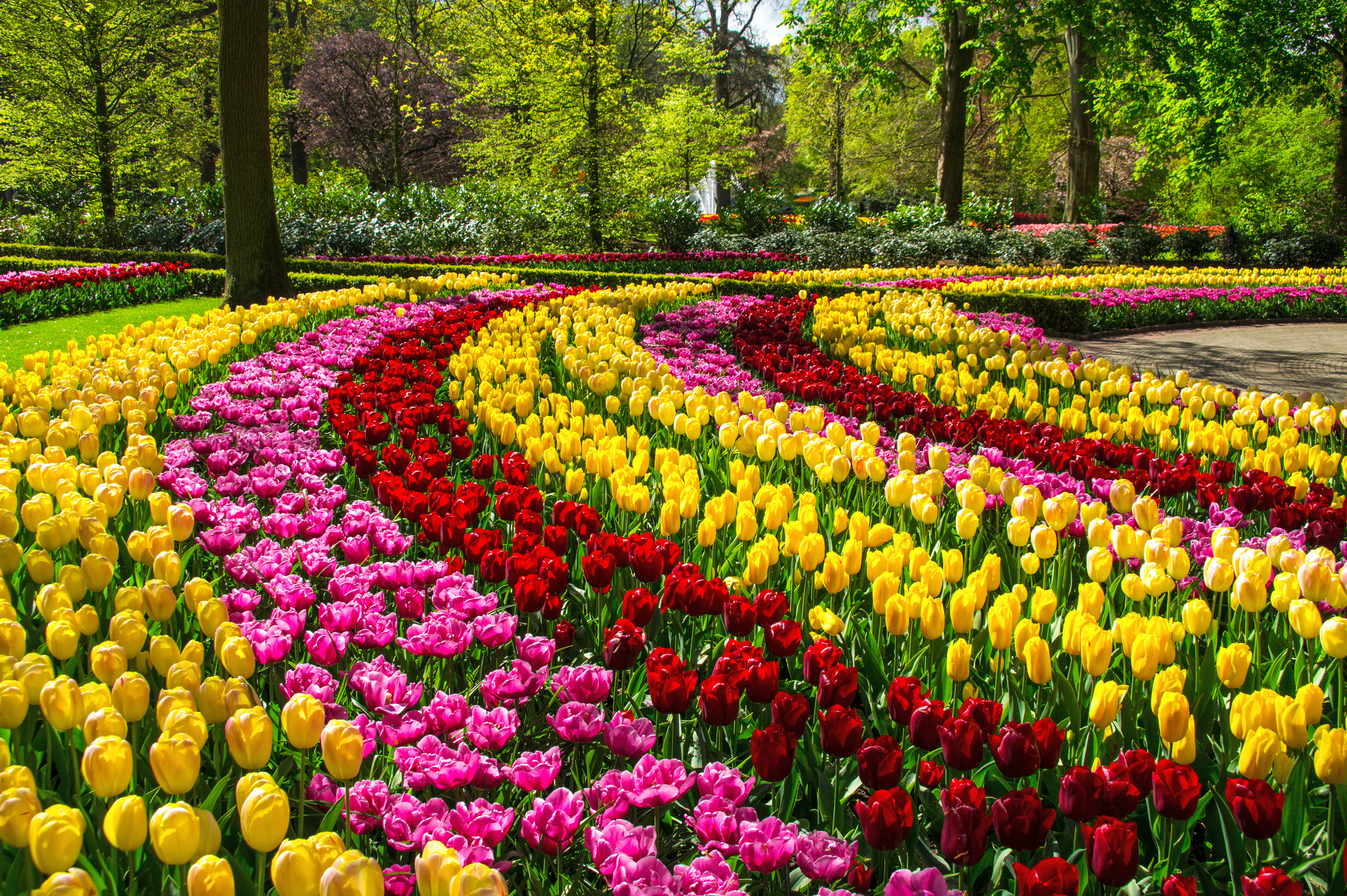 Keukenhof 
