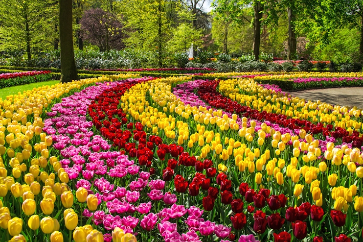 Keukenhof 