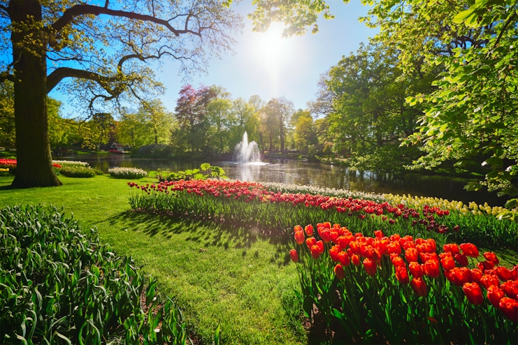 Tulipanes en Keukenhof