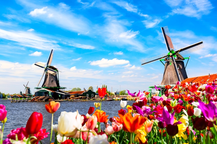 Molinos en Zaanse Schans