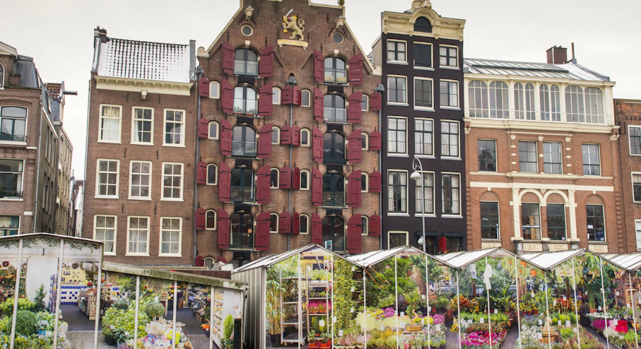 Free Tour Ámsterdam Esencial en Ámsterdam Bloemenmarkt