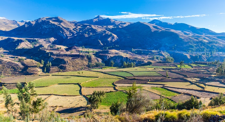 cañon del colca en peru