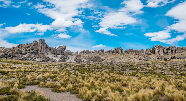Bosque de Piedras de Imata y Catarata de Pillones