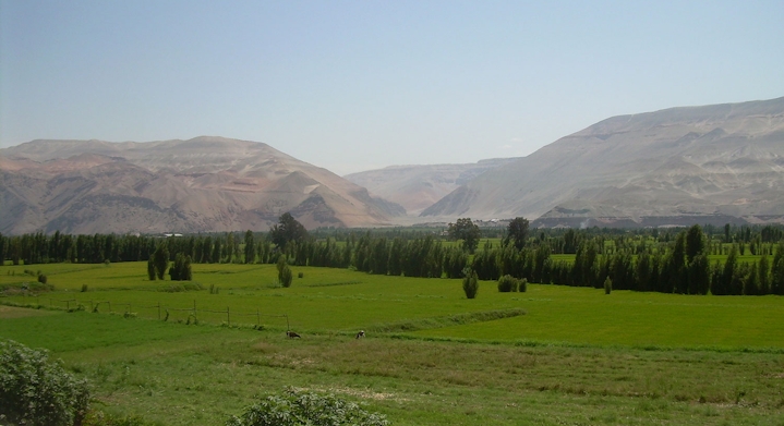 Ruta del Pisco