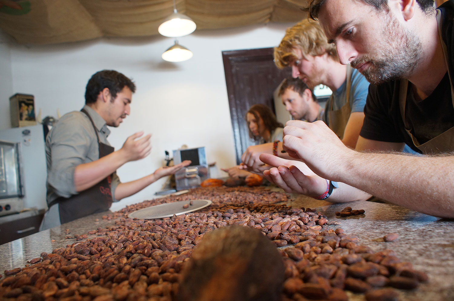 Tratamiento del cacao