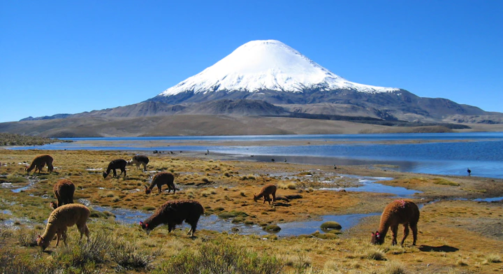 Lago Chungará