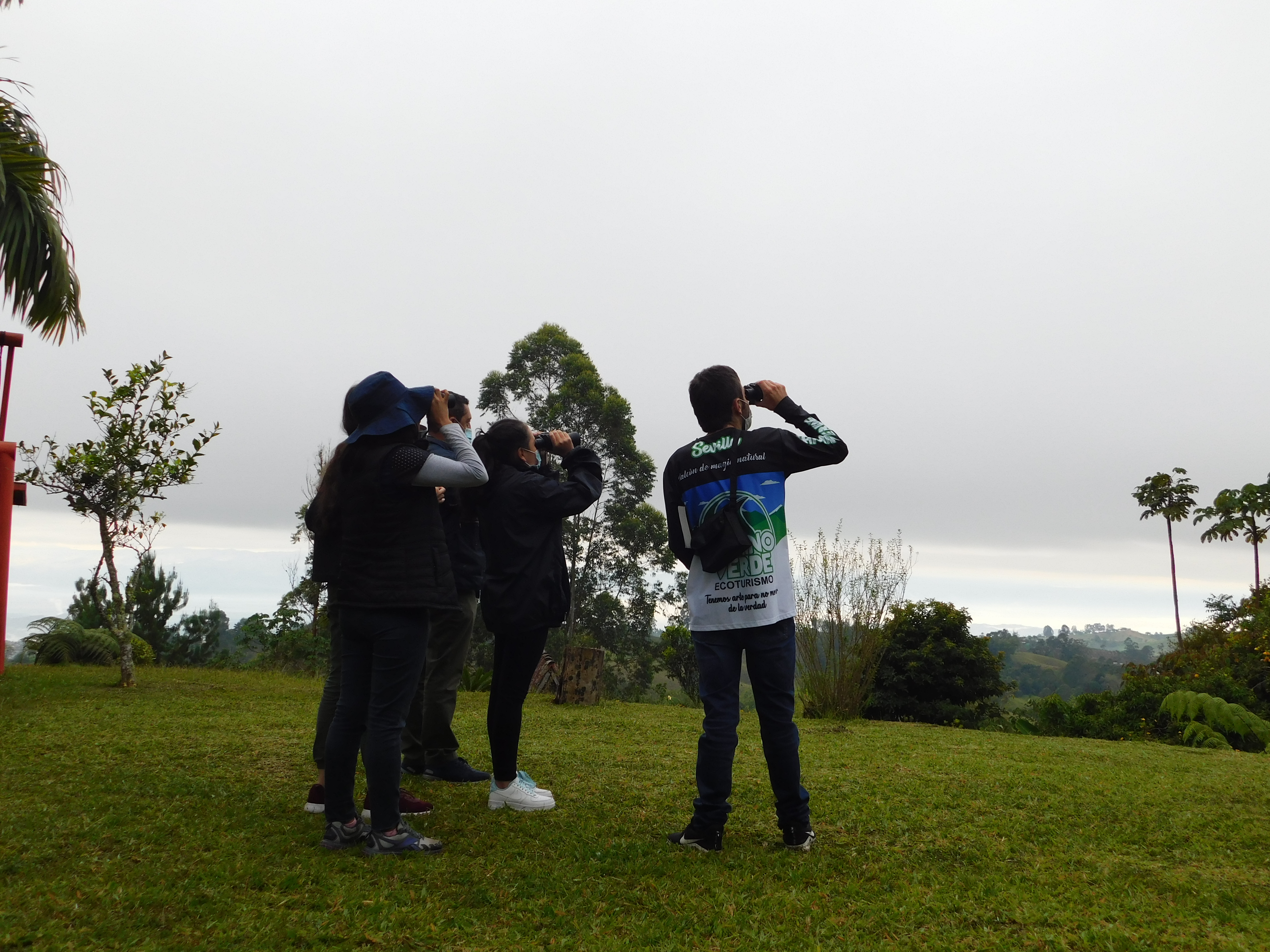 Avistamiento de Aves