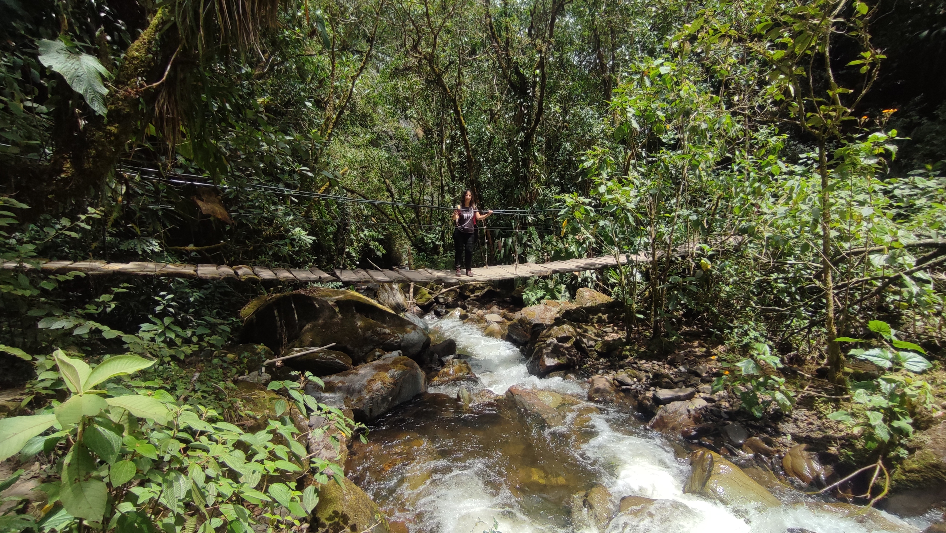 Puente en Reserva Acaime