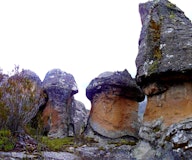 Bosque de Piedras de Huaraca