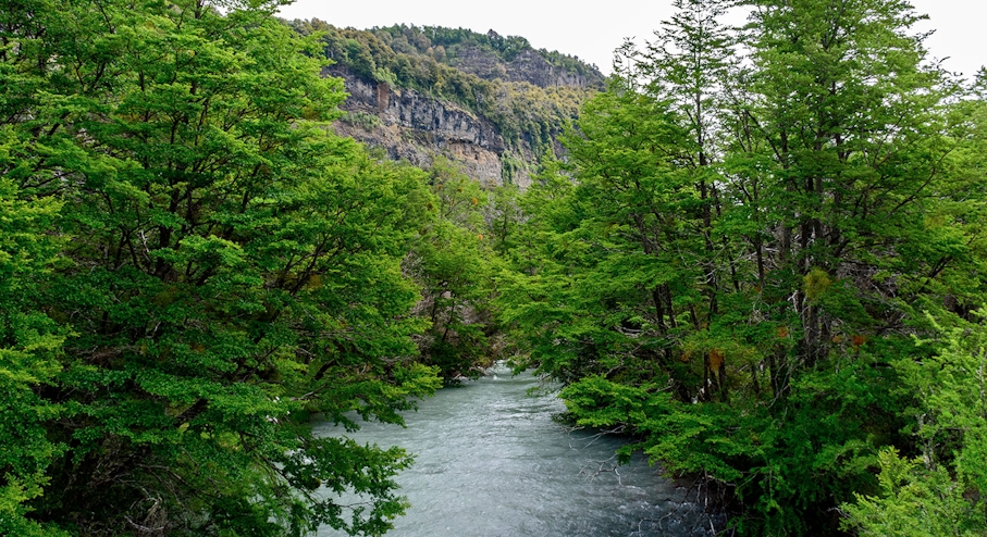 Rafting Río Manso: Tours, Precios y Horarios - Denomades