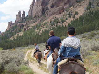 Imagen Cabalgata La Fragua en Bariloche Grupo Cabalgata La Fragua