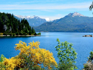 Foto Navegación Isla Victoria y Bosque de Arrayanes en Bariloche Lago Nahuel Huapi