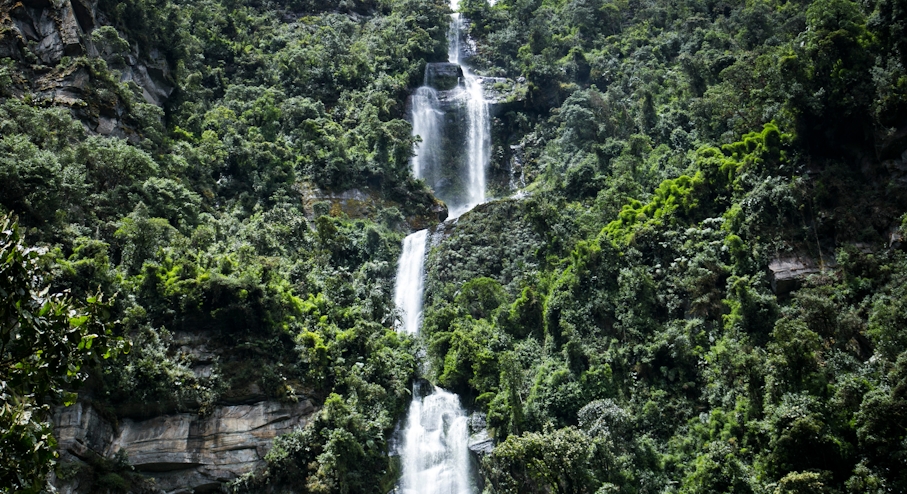 La Chorrera Waterfall Hike Denomades