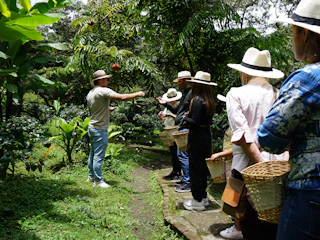 Imagen Excursión a la Finca Cafetera en Bogotá Guía en Granja Cafetera