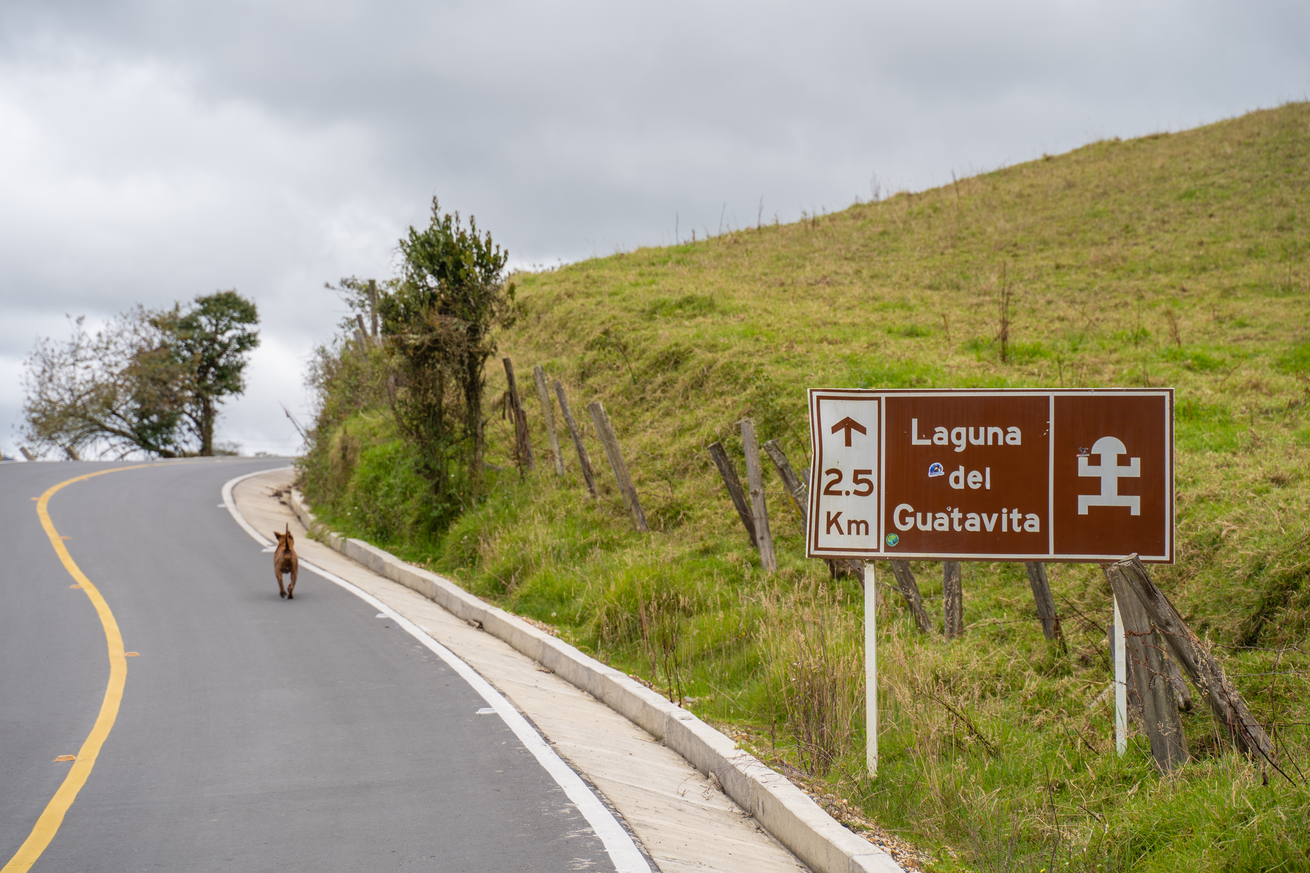 Camino a Laguna Guatavita
