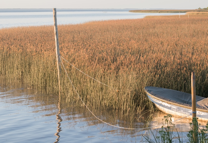 Río de la Plata