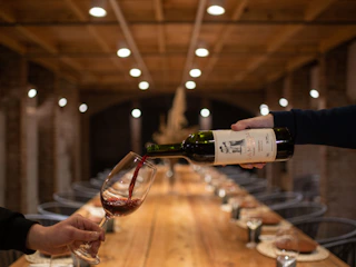 Botella y copa de vino Botella y copa de vino en Bodega Gamboa