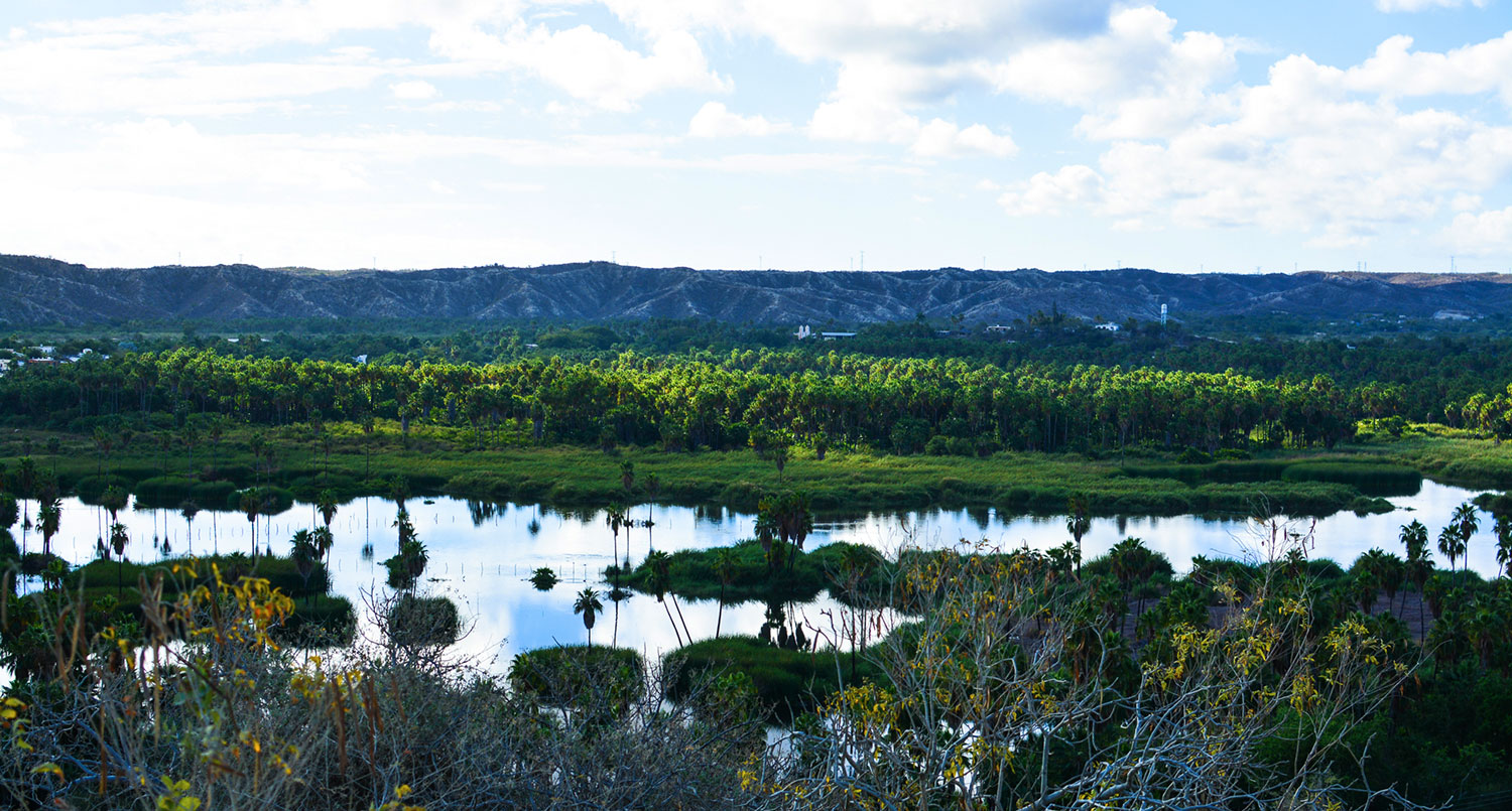 Santiago en Los Cabos