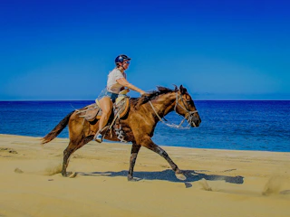 Imagen Cabalgata por la Costa en Cabo San Lucas Cabalgata por la Costa