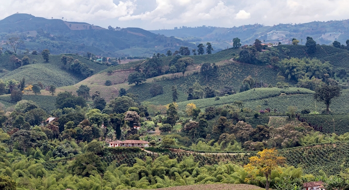 Colonial Hacienda in Cauca Valley