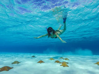 Imagen Isla Cozumel y Playa El Cielo en Cancún Isla Cozumel y Playa Cielo