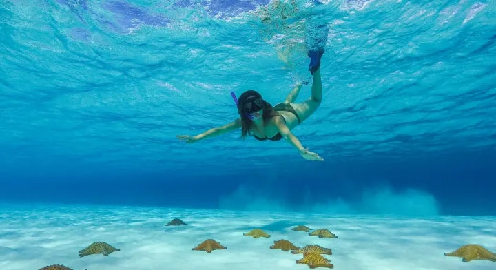 Isla Cozumel y Playa Cielo