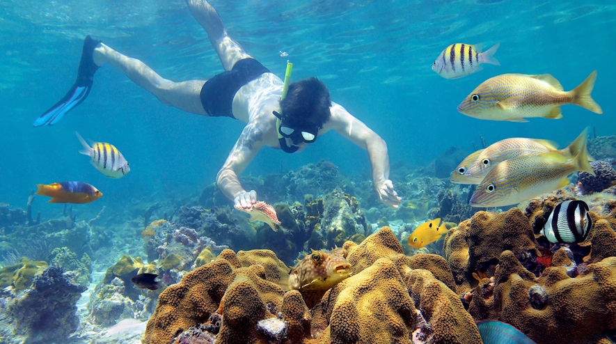 Persona haciendo snorkel