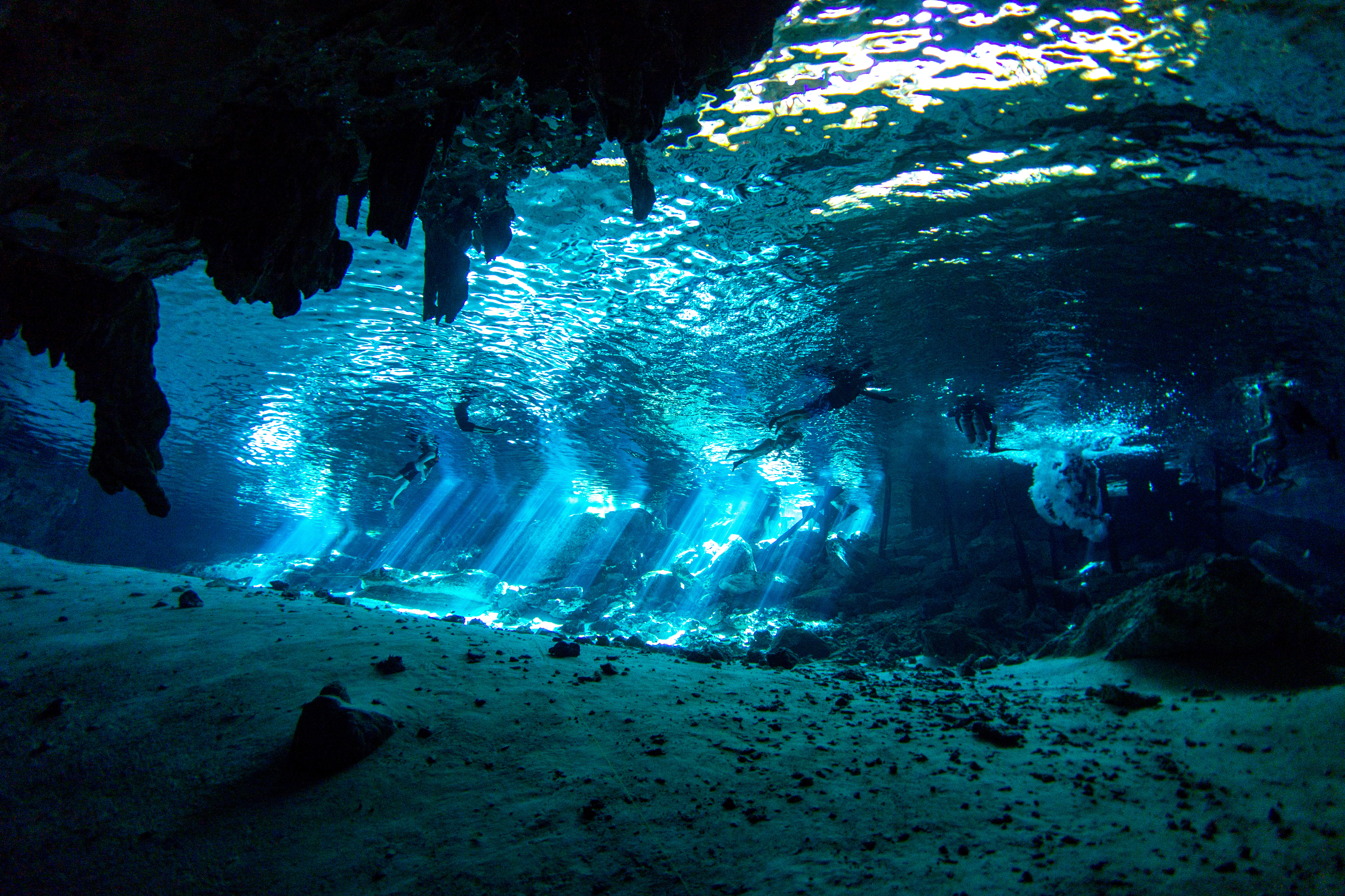 Snorkel en cenotes