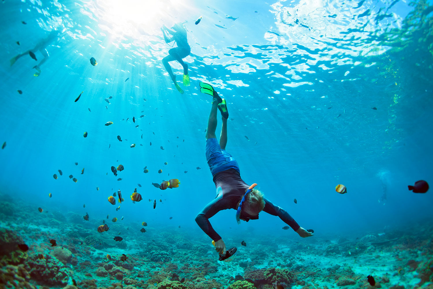 Snorkel en mar Caribe