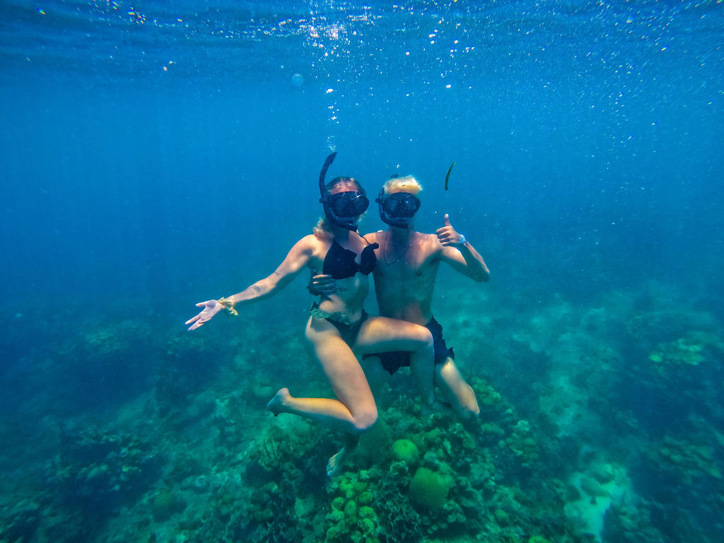 snorkel tour 5 islas
