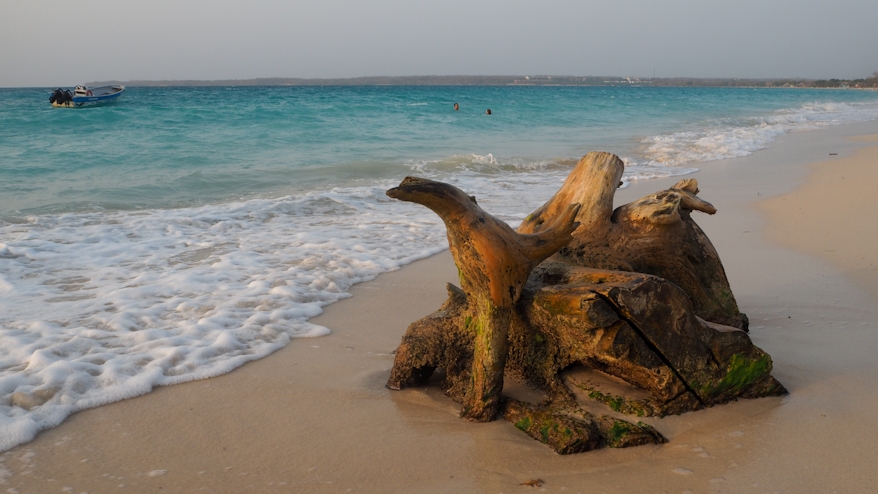 Madera en Playa Blanca