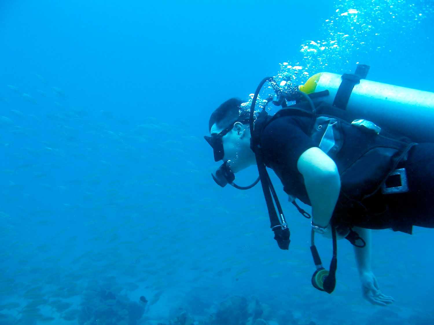 Clase práctica de buceo