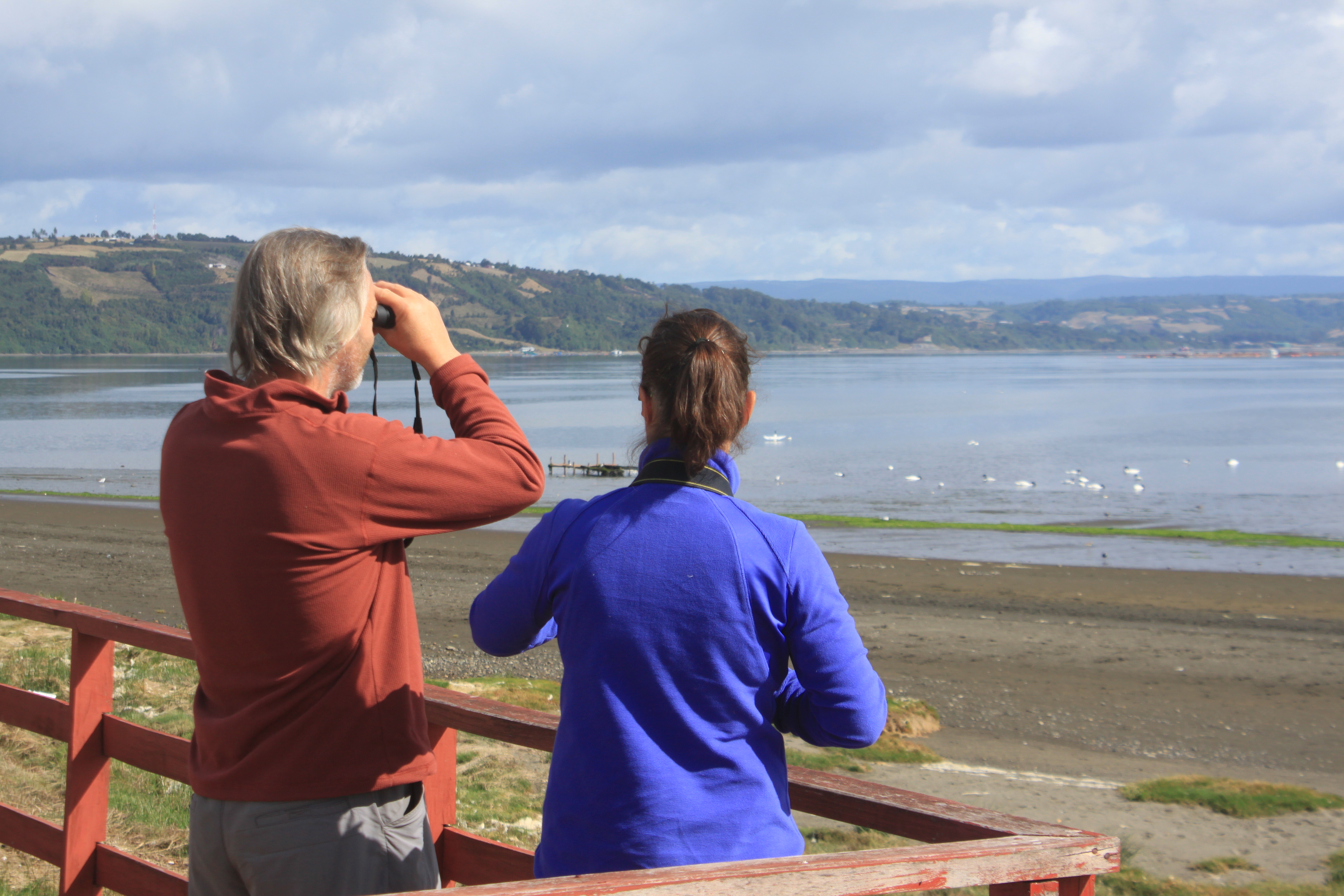 Turistas Nomades en Avistamiento de Aves