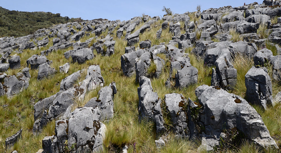 Trekking Laguna de los Cóndores (4 días) en Chachapoyas Paisajes selva alta peruana
