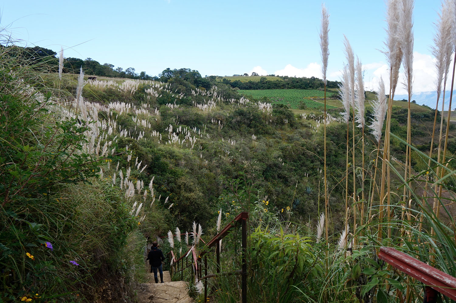 Paisajes alredor de Chachapoyas