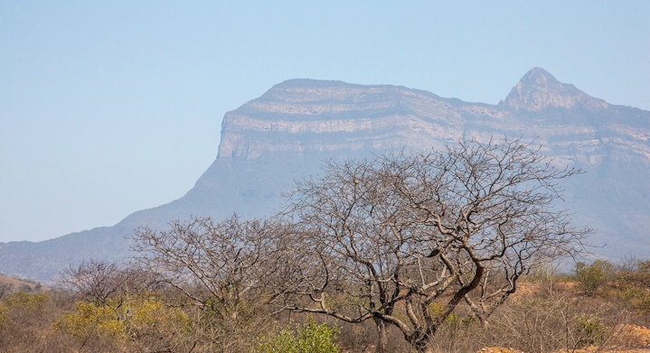 Reserva Chaparri