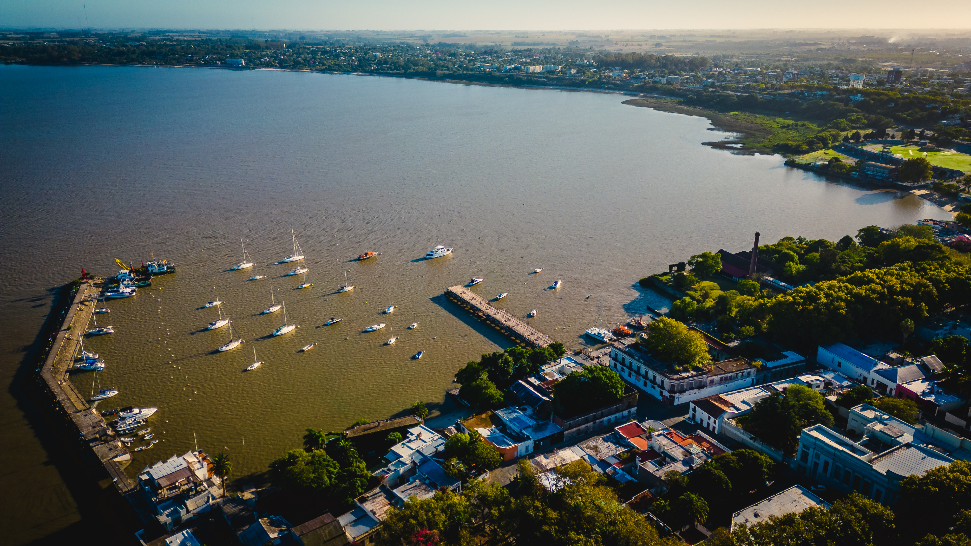 Transfer Puerto de Colonia