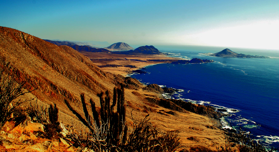 Pan de Azúcar: aventura costera