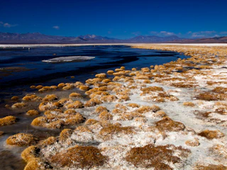 Imagen Salar de Pedernales en Copiapó Salar de Pedernales