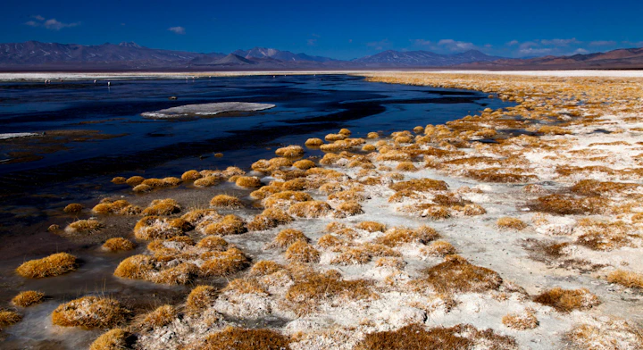 Salar de Pedernales