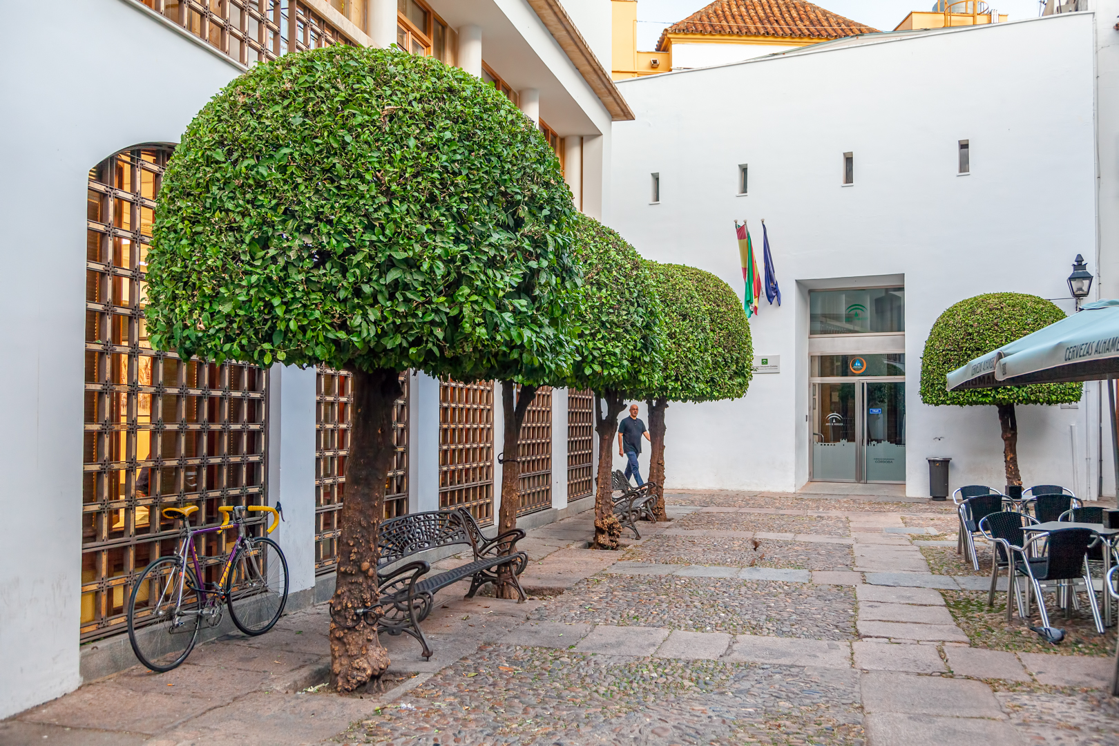 Barrio de la Judería