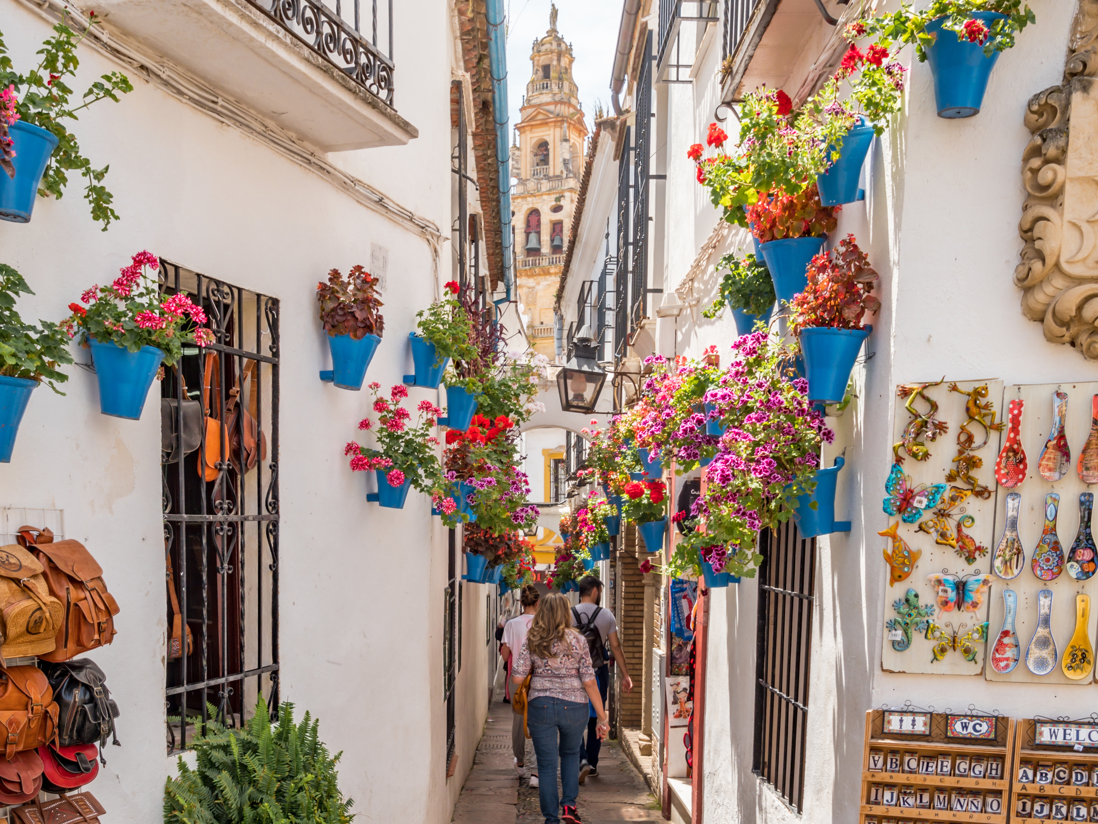 Calleja de las Flores