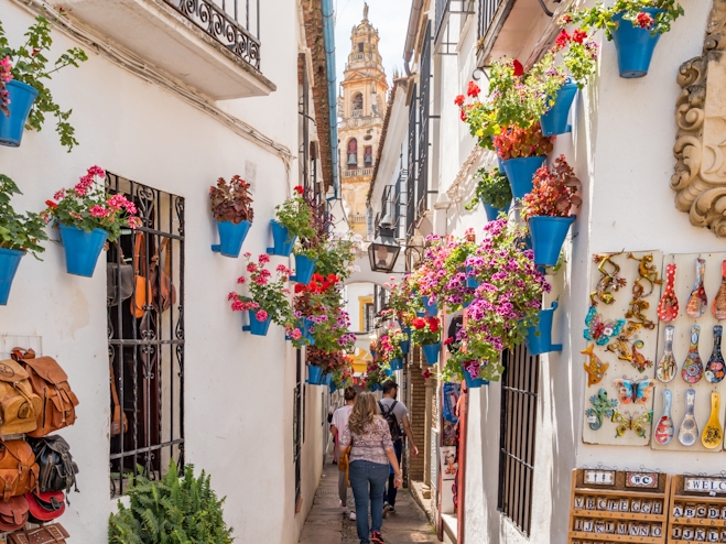 Calleja de las Flores