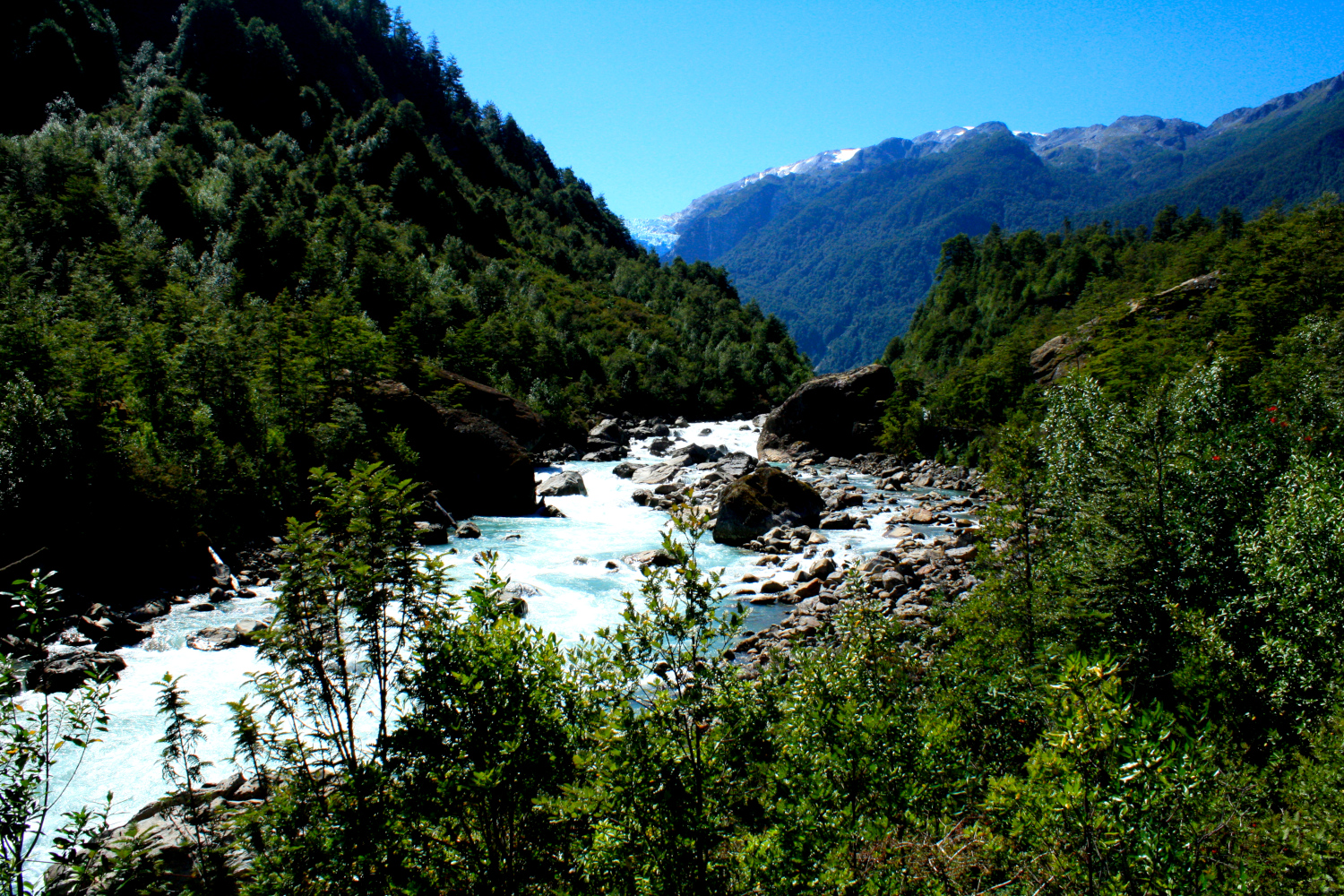 Río en la Patagonia