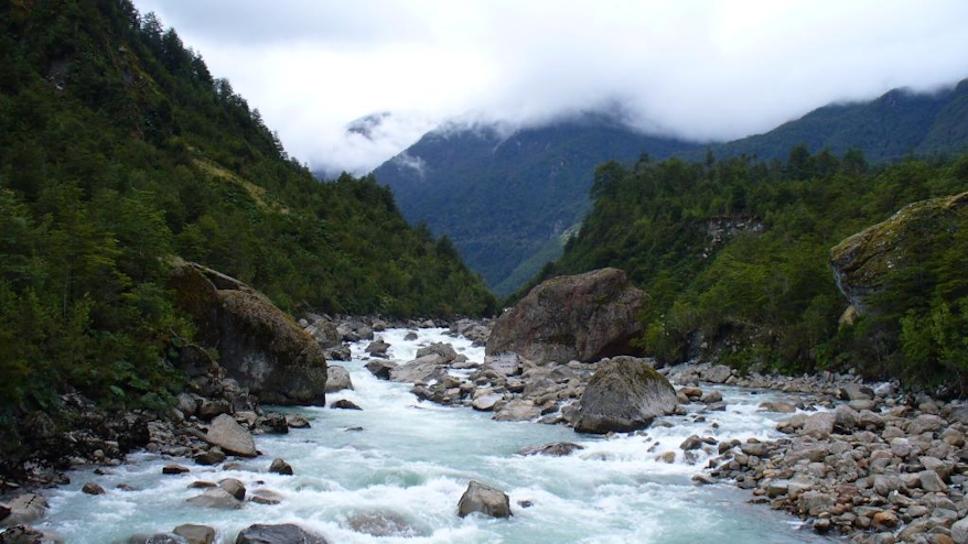 Río en Parque Nacional Queulat