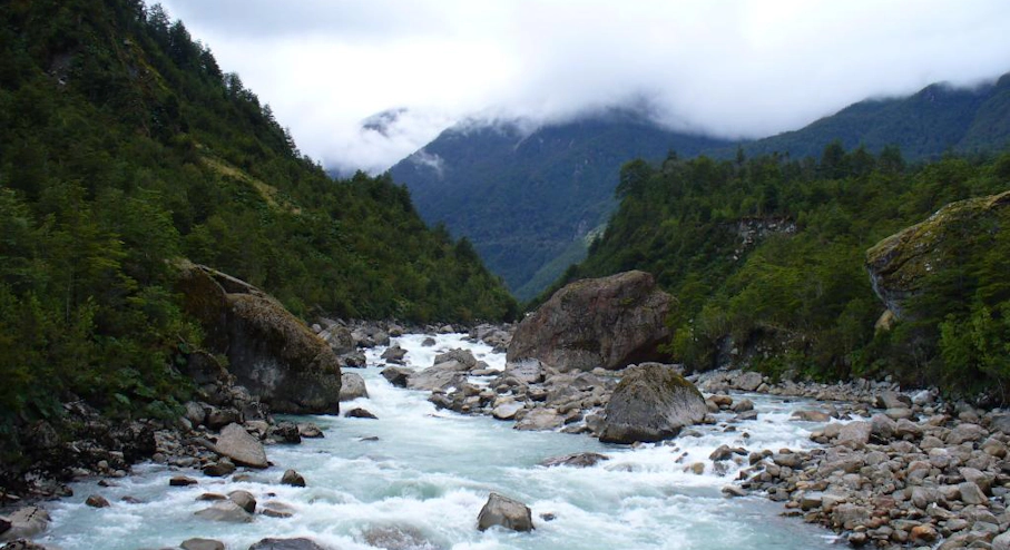 Parque Nacional Queulat y Puyuhuapi (2 días) Río en Parque Nacional Queulat
