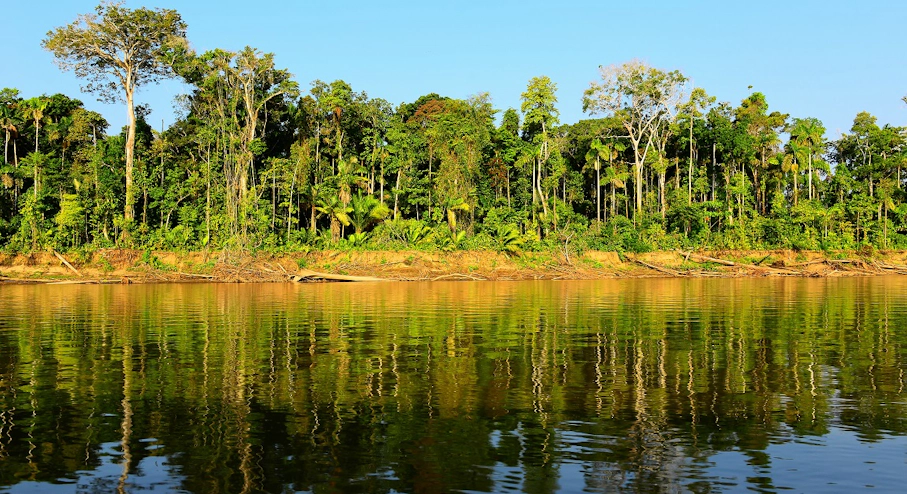 Imagen Parque Nacional Manu (5 días) en Cusco & Machu Picchu