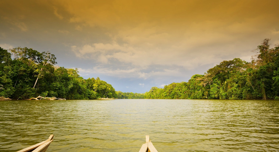 Parque Nacional Manu (5 días) en Cusco & Machu Picchu