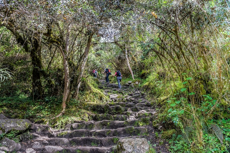 Escalera Camino del Inca
